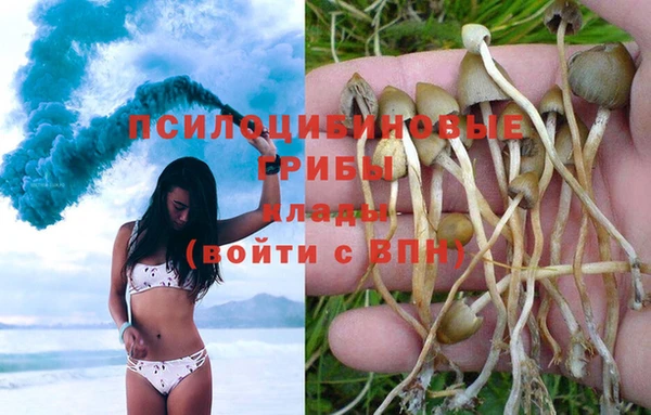 не бодяженный Беломорск