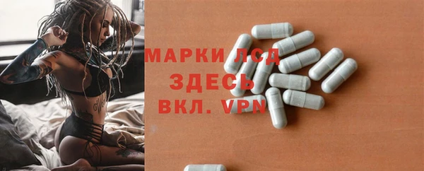прущие грибы Белоозёрский