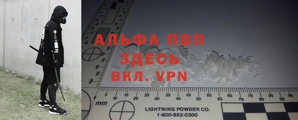 прущие грибы Белоозёрский