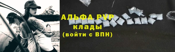 прущие грибы Белоозёрский