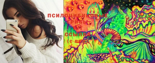 прущие грибы Белоозёрский