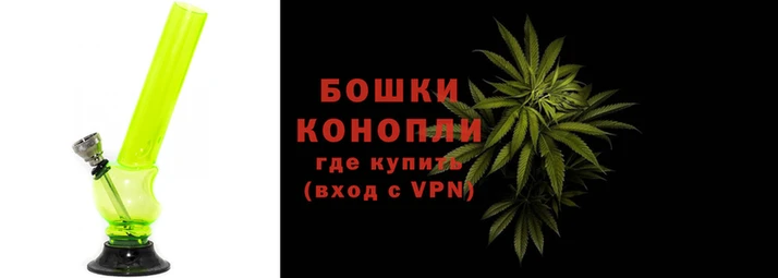 прущие грибы Белоозёрский