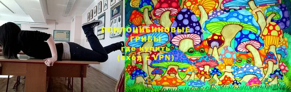 не бодяженный Беломорск