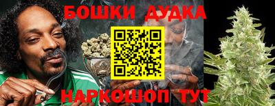 кокс Кингисепп