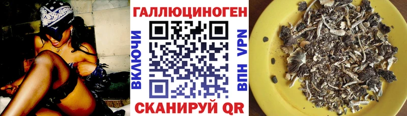 Галлюциногенные грибы прущие грибы Кунгур