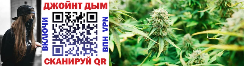 Бошки Шишки VHQ Кунгур